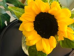 -COTTON CAFE(德信·中外公寓店)