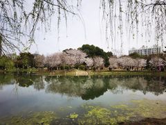 -堤角公园