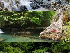 -黑河国家森林公园