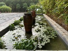-壮乡楼民俗文化苑(李宁体育园店)