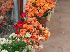 -Jo's Garden