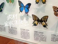 -天津自然博物馆