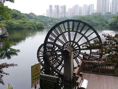 -重庆彩云湖湿地公园