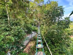 -芦仙山景区-飞越丛林探险乐园