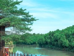 -大湾区中央湿地公园