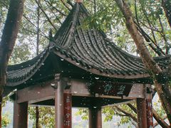-重庆彩云湖湿地公园