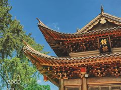 -上海东林寺(金山区)
