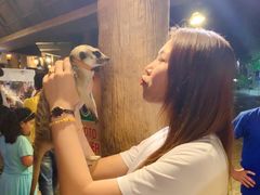 -清迈夜间动物园