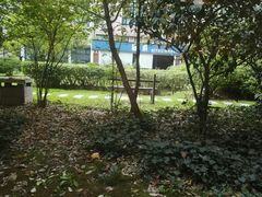 -鹿港小镇(黄金店)