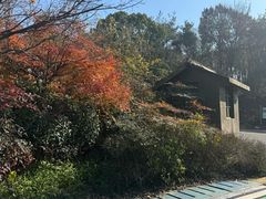 -宝界山林公园