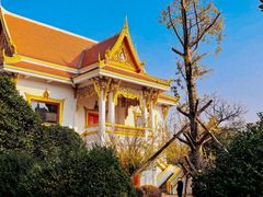 -洛阳白马寺