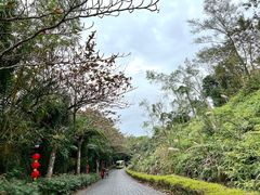 -海南文笔峰盘古文化旅游区