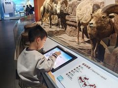 -陕西自然博物馆