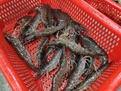 -范饭椰林川湘味海鲜·椰子鸡(三亚湾椰梦长廊店)