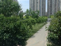 -汉江湾体育公园