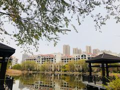 -沈阳于洪碧桂园凤凰酒店