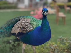 -J Create城市露营咖啡·简餐·宠物(上海动物园店)