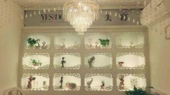点击看大图 -YESIDO椰岛美容