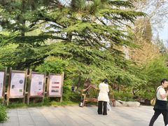 -北京植物园-展览温室