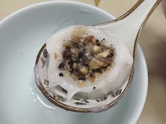 -海丝金凤(金鱼店)