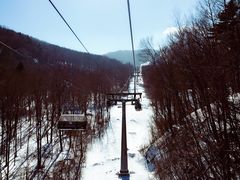 -亚布力新体委滑雪场
