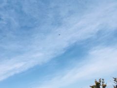 -春花秋色城市公园