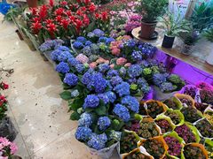 -双季花艺园艺市场(浦东店)