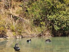 -广州白江湖森林公园