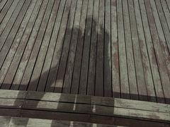 -天鹅湖体育公园