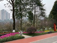-龙头寺公园
