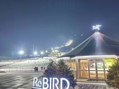 -中旅松花湖滑雪场