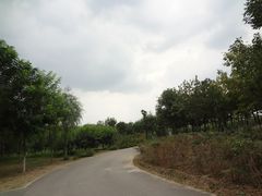 DSC08480-永定河休闲森林公园