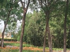 -大港湿地公园