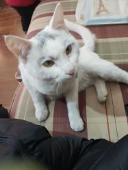 -梵梦影像馆(绿博园店)