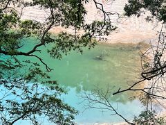 -广州市流溪河国家森林公园