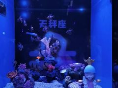 -上海海昌海洋公园