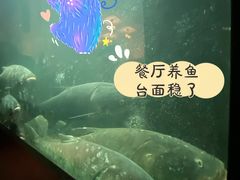 -夜上海(新天地店)