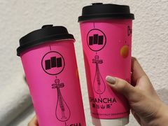 -雾与山茶(大禹城店)