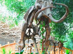 -中国第四纪冰川遗迹陈列馆