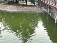 -石家庄市动物园