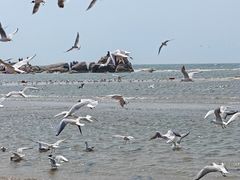 -老虎石海上公园