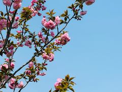 -九里河湿地公园