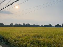-平乐古镇