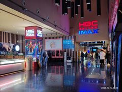 -华谊兄弟影院(IMAX洋桥店)