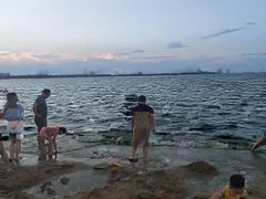 -瑶湖郊野森林公园