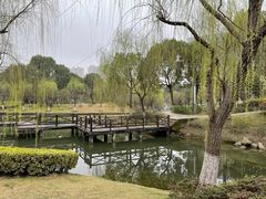 -桐乡植物园
