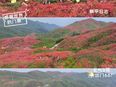 -大围山国家森林公园