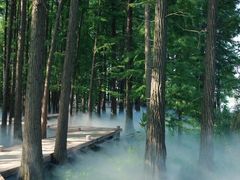 -东湖落雁景区