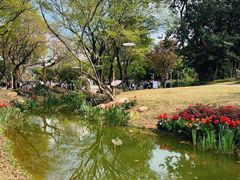 -人民公园(罗湖区)