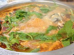 贵州酸汤鱼锅底-芦苇荡·酸汤鱼(回龙观店)
